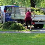 landscaper, gardener, nature, gardening, workers, landscaping, gardeners, work, garden, park-401880.jpg