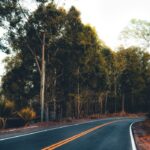 A scenic winding road surrounded by tall trees on a sunny day.