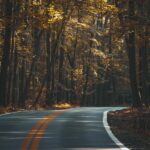 asphalt, forest, road, trees, nature, woods, woodlands, street, highway, landscape, lane, outdoors, travel